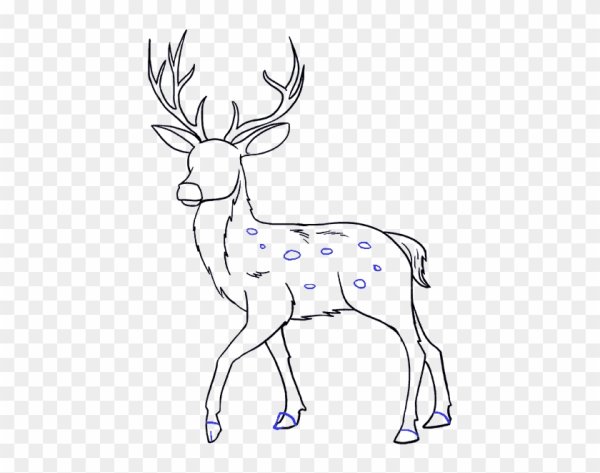 Картинки оленя для срисовки