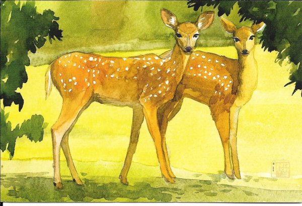 Пятнистый олень акварель