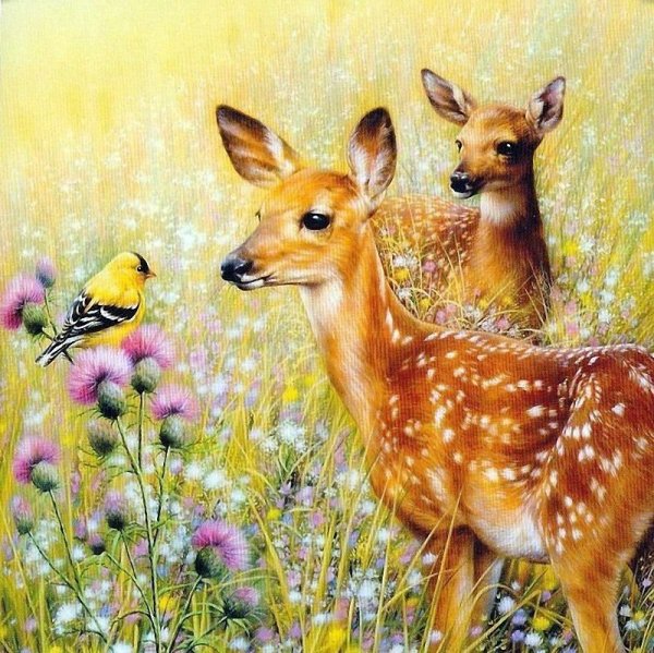 Художник Джордано Грег