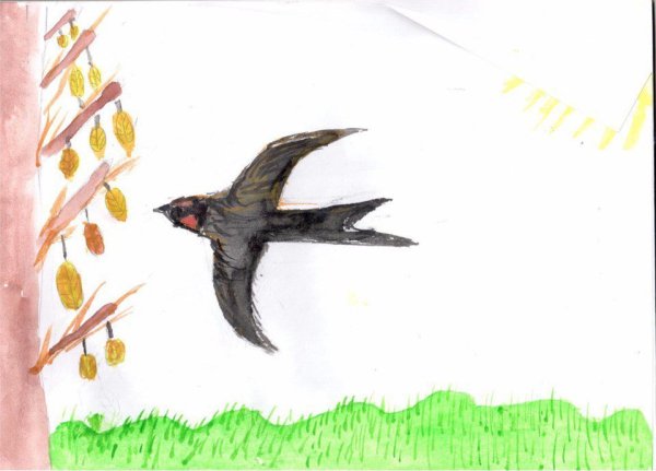 Иллюстрация к стихотворению Фета ласточки пропали