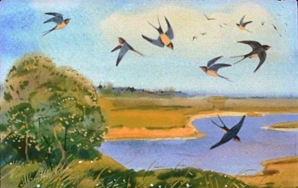 Ласточки улетают на Юг раскраска