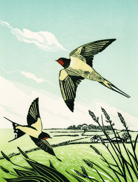 Ласточки пропали Фет иллюстрации