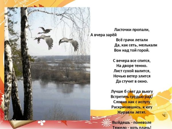 Стихотворение Фета ласточки пропали