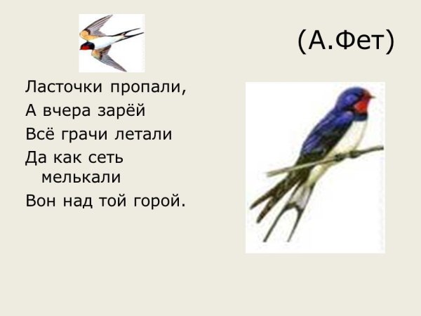 Ласточки пропали Фет