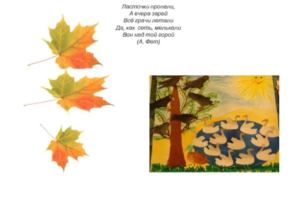 Н. Сладков - ласточки