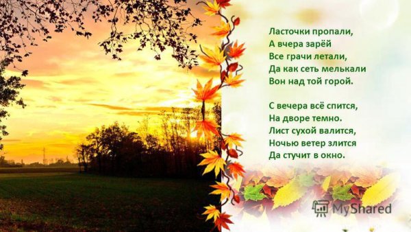 Ласточки Фет стих