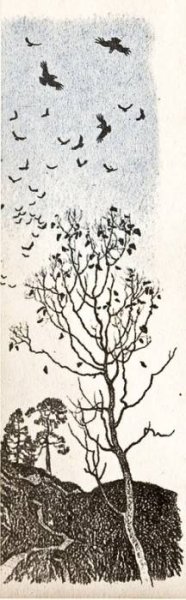 Ласточки пропали а вчера Зарей все Грачи летали