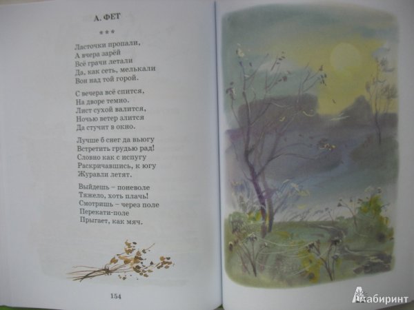 Птицы в небе раскраска