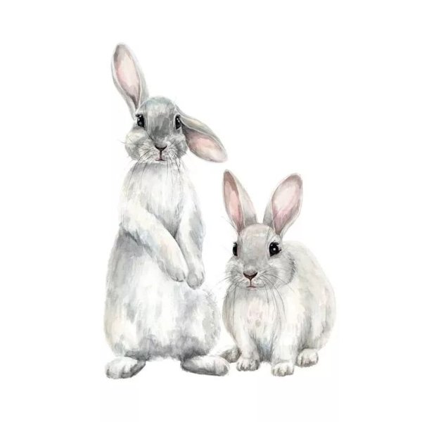 Заяц акварель