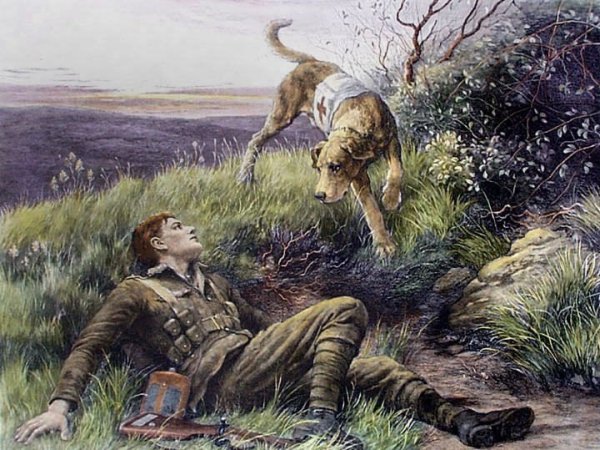 Собаки в войне в живописи