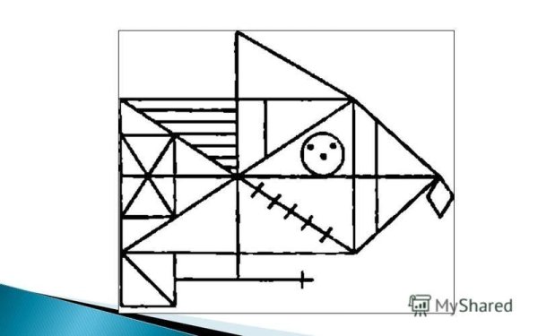 Фигуры Тейлора и Рея Остеррица