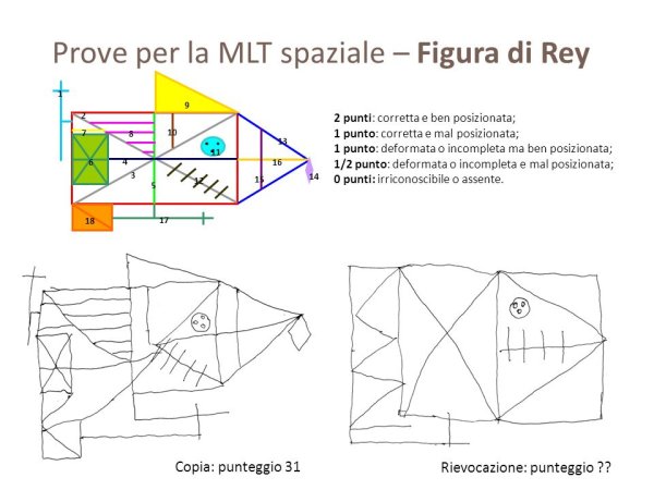 Фигура Рея-Остеррица