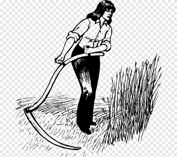 Раскраска сенокос для детей