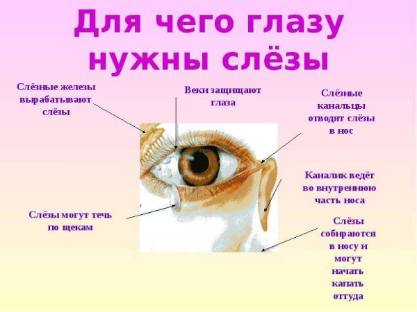 Берегите зрение картинки