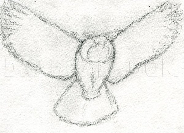 Красивая пизденка рисунок