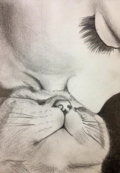 Рисунок киски срисовать