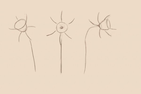 Поэтапное рисование нарцисса