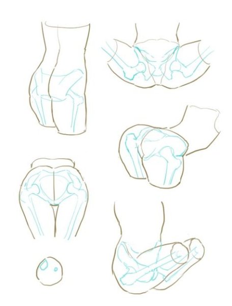 Рисование ягодиц референс