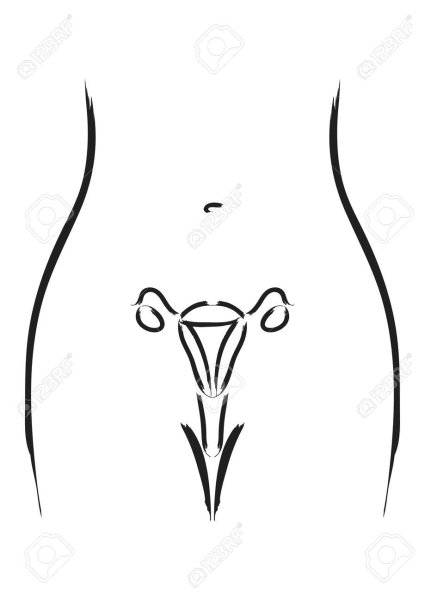 Рисунок женской вагины