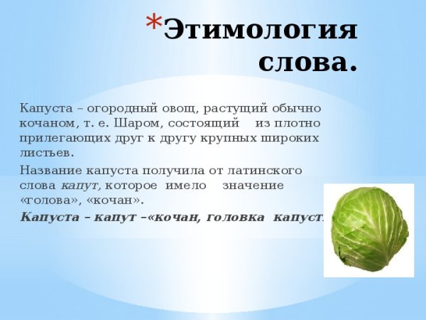 Происхождение слова капуста