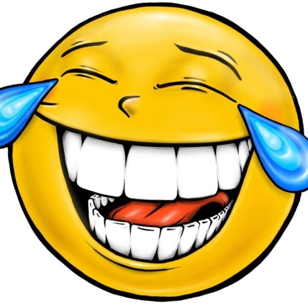 Смешные мордочки