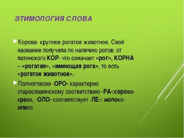 Этимология 5 слов 6 класс