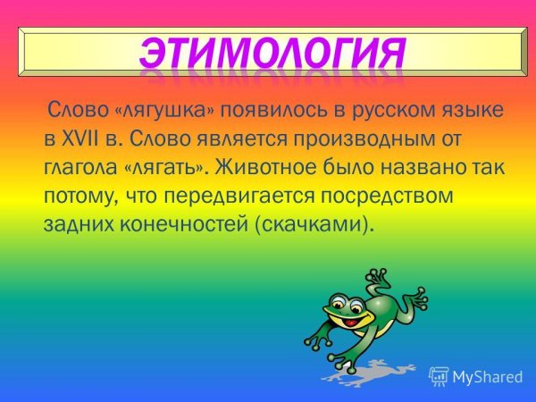 Этимология слова