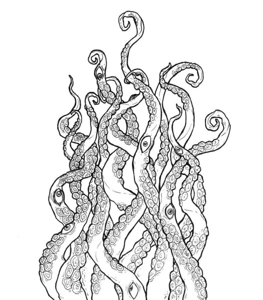 Щупальца осьминога