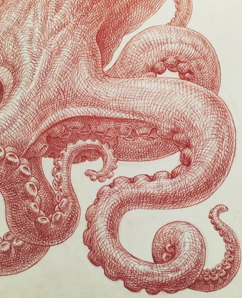 Щупальца рисовать