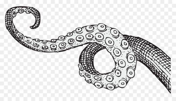 Щупальца осьминога