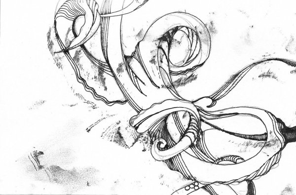 Осьминог Графика