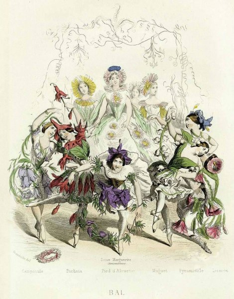 Королевство цветов книга Морис Карем