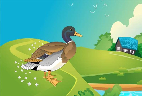 Утка для дошкольников