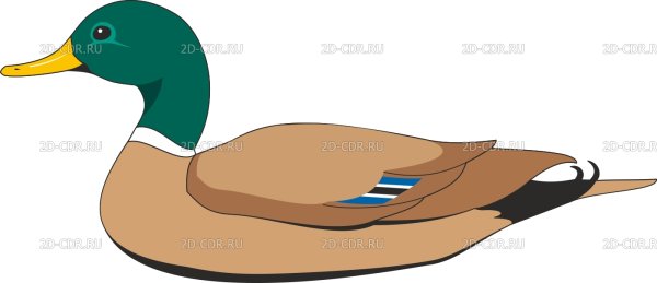Дикая утка мультяшная