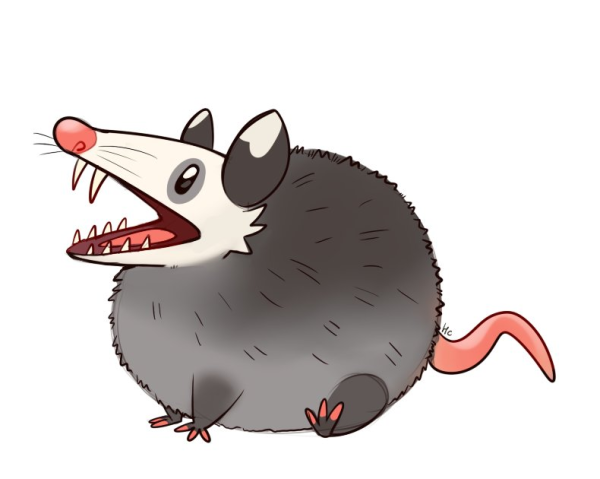 Опоссум арт