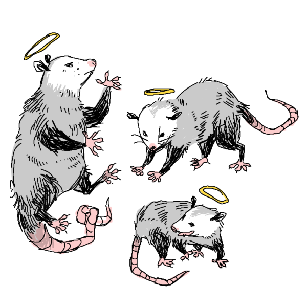 Опоссум нарисованный