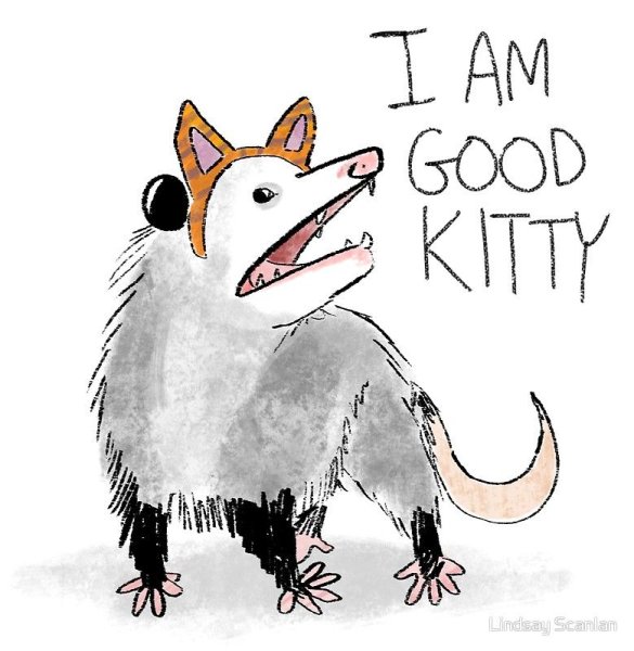 Опоссум рисунок смешной