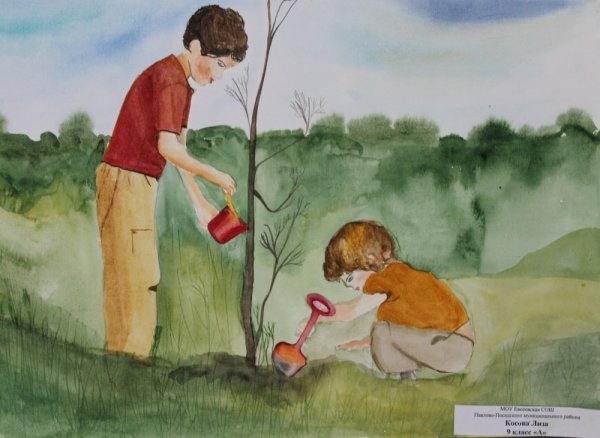 Сажать деревья рисунок