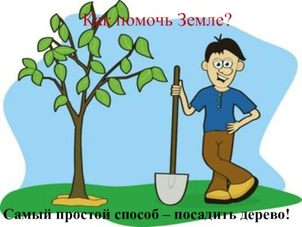 Листовки посади дерево