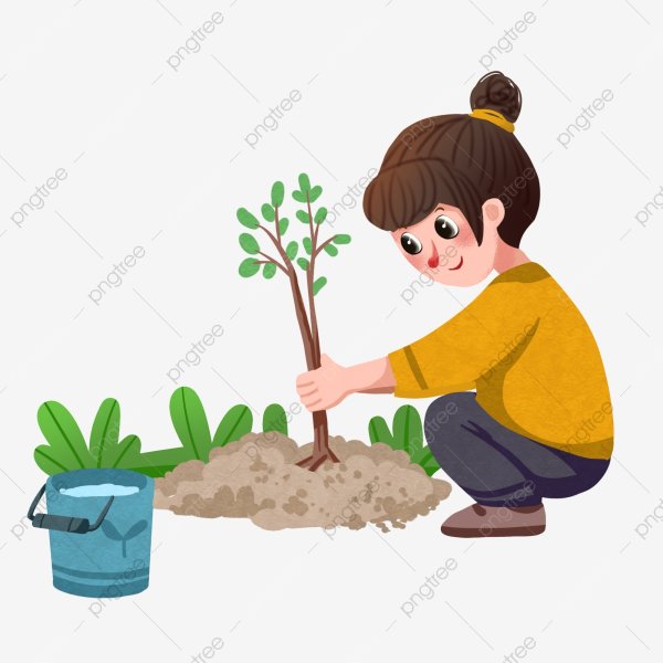 Посадка деревьев