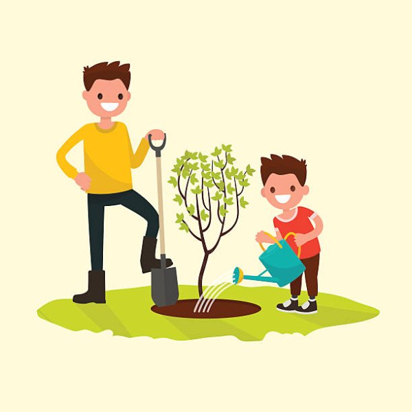Мальчик сажает дерево