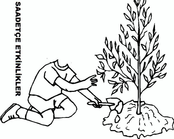Раскраска сажать деревья