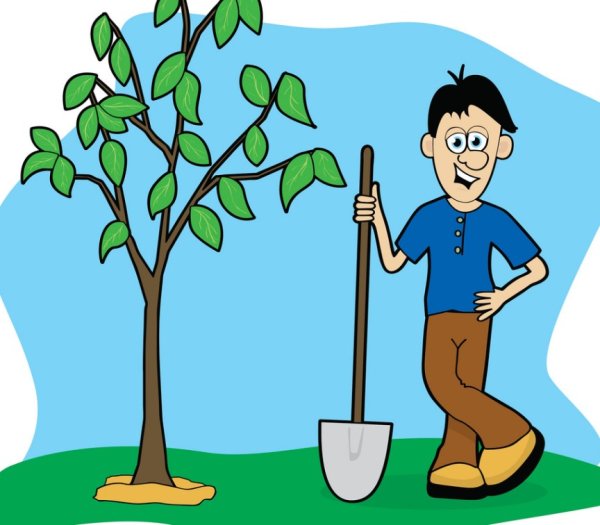 Люди сажают деревья