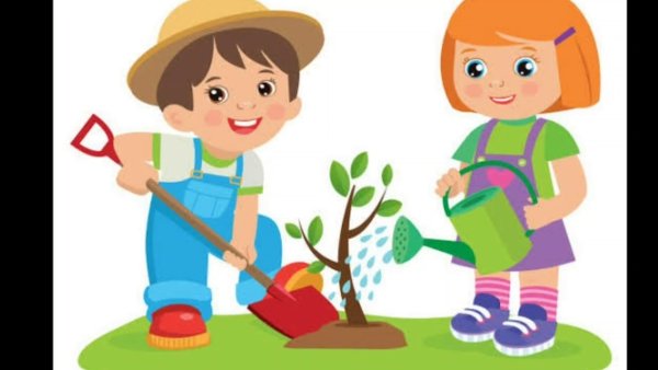 Дети сажают