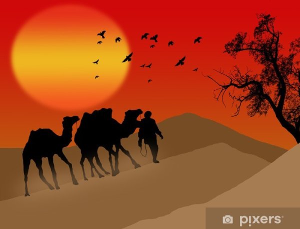 Караван верблюдов в пустыне рисунок
