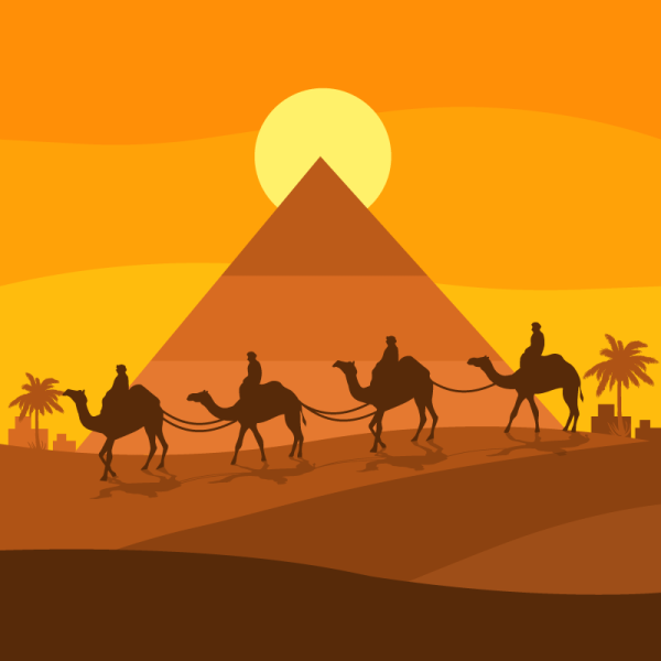 Закат Египет пирамида верблюд