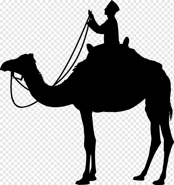 Верблюд Караван шелковый путь вектор