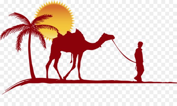 Верблюд Караван шелковый путь