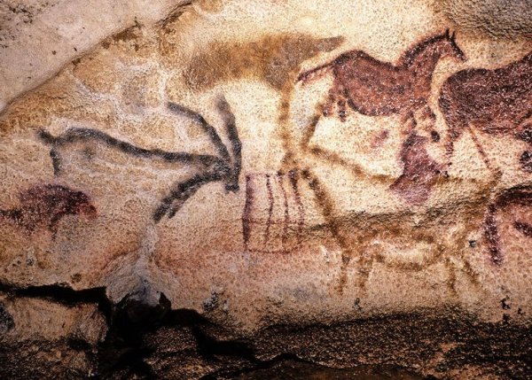 Пещера Ласко во Франции наскальные рисунки
