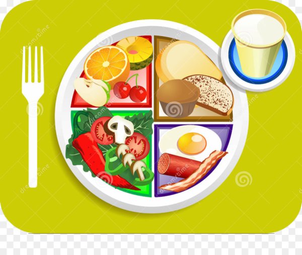 Завтрак обед ужин вектор